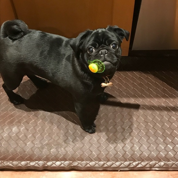 Meet your Posher, Hillary - Picture 1 of 5